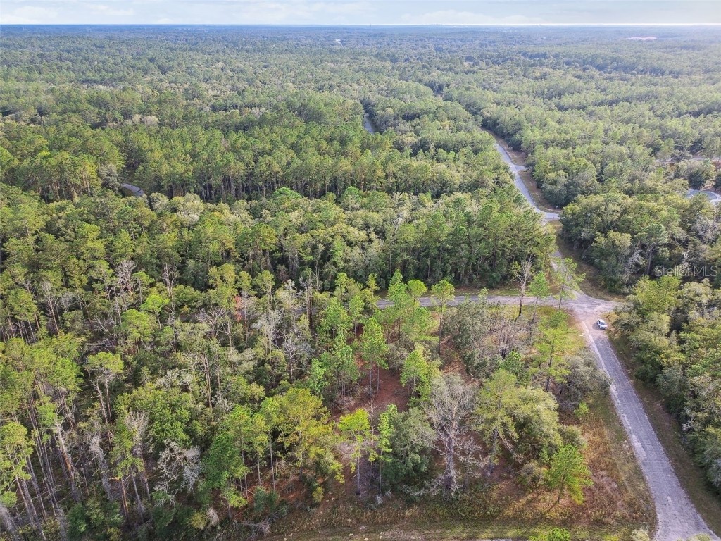 825 E Toledo Drive Citrus Springs FL 34434 TB8321778 image10