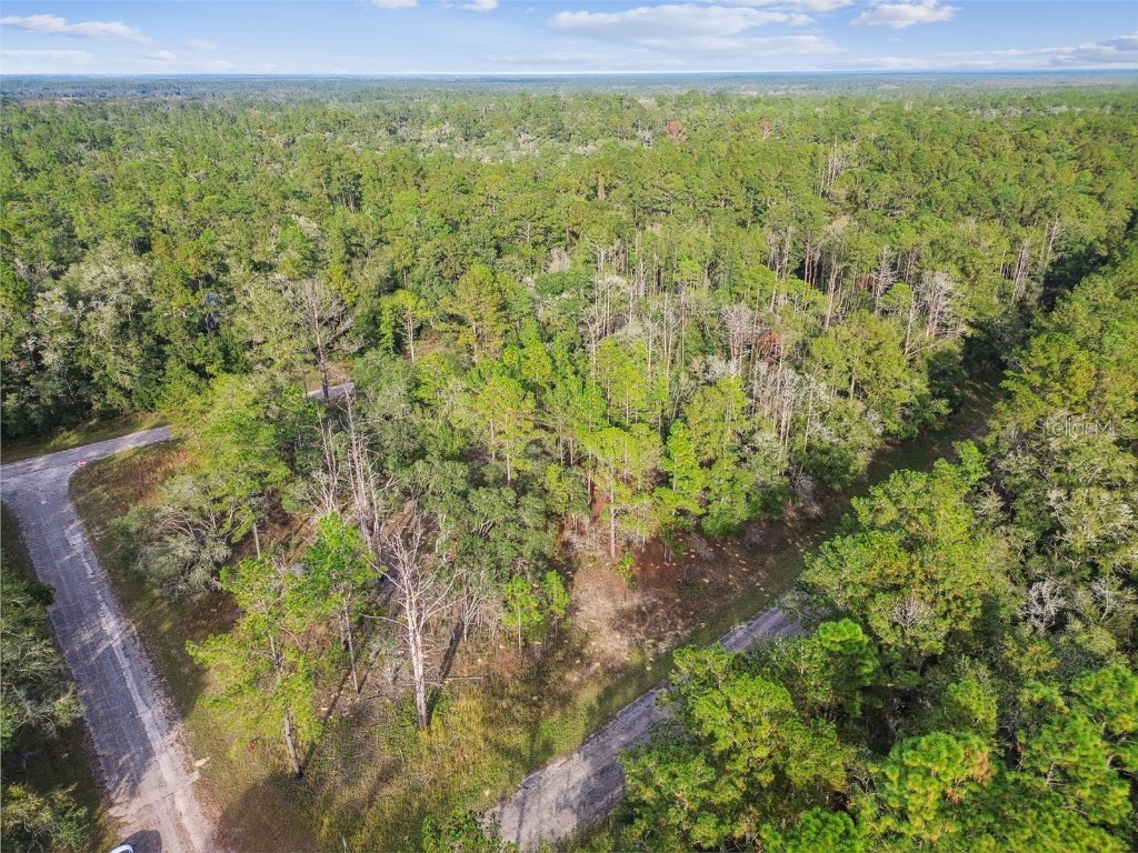 825 E Toledo Drive Citrus Springs FL 34434 TB8321778 image11