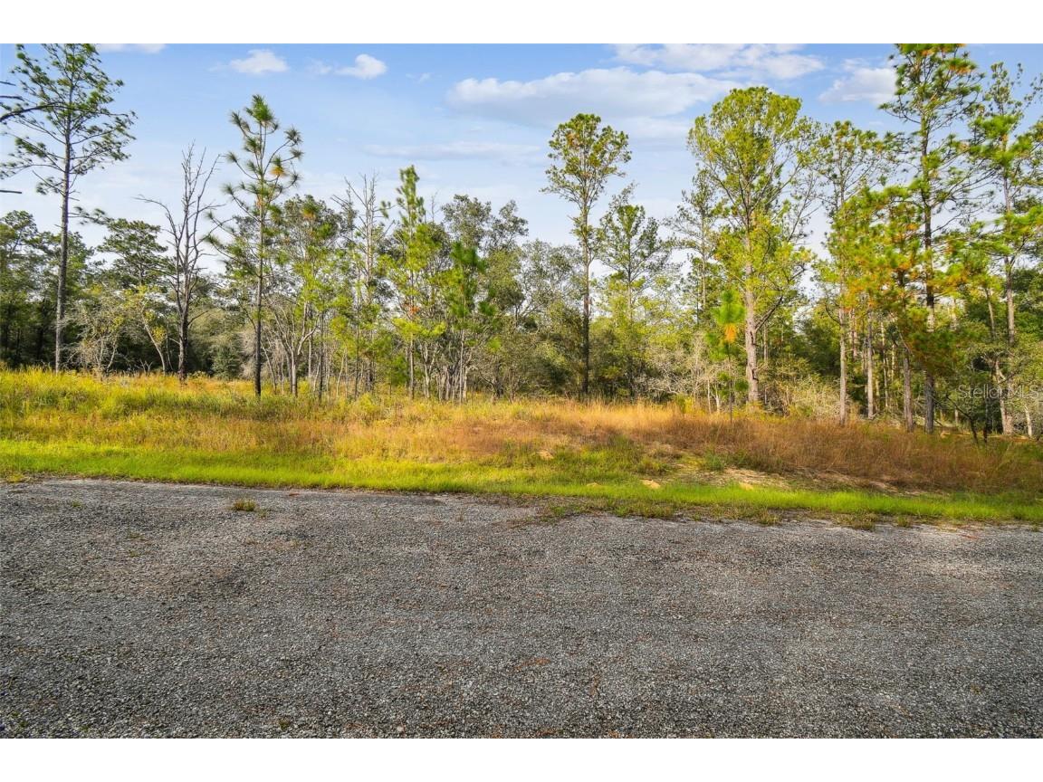 825 E Toledo Drive Citrus Springs FL 34434 TB8321778 image12