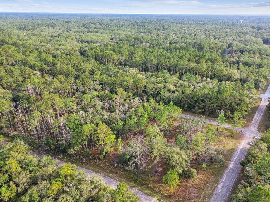 825 E Toledo Drive Citrus Springs FL 34434 TB8321778 image13