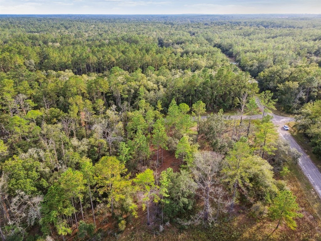 825 E Toledo Drive Citrus Springs FL 34434 TB8321778 image14