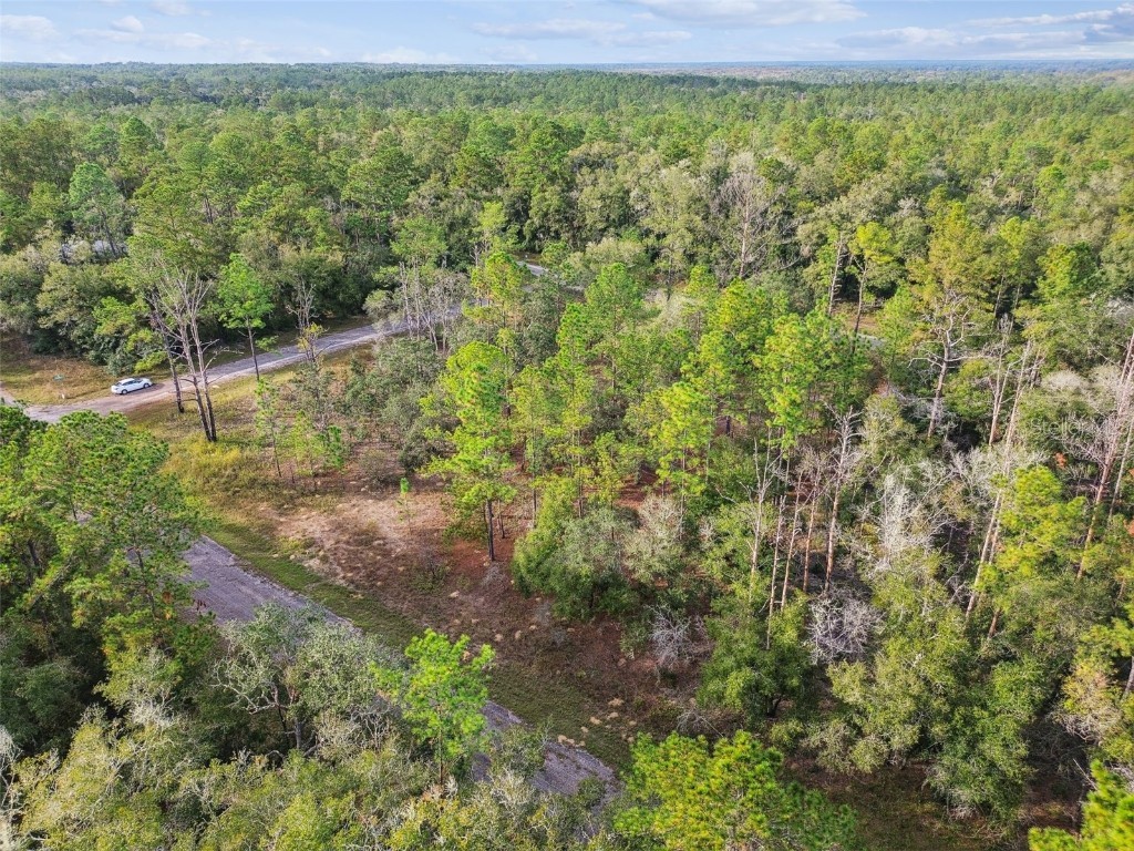 825 E Toledo Drive Citrus Springs FL 34434 TB8321778 image16