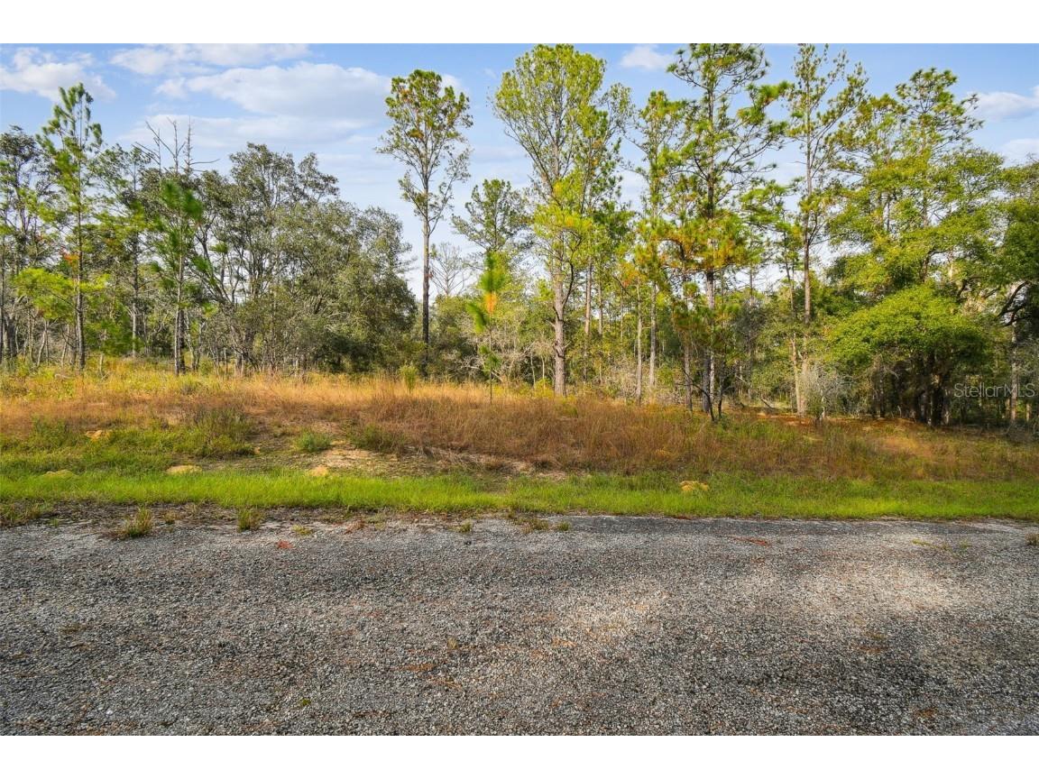 825 E Toledo Drive Citrus Springs FL 34434 TB8321778 image17