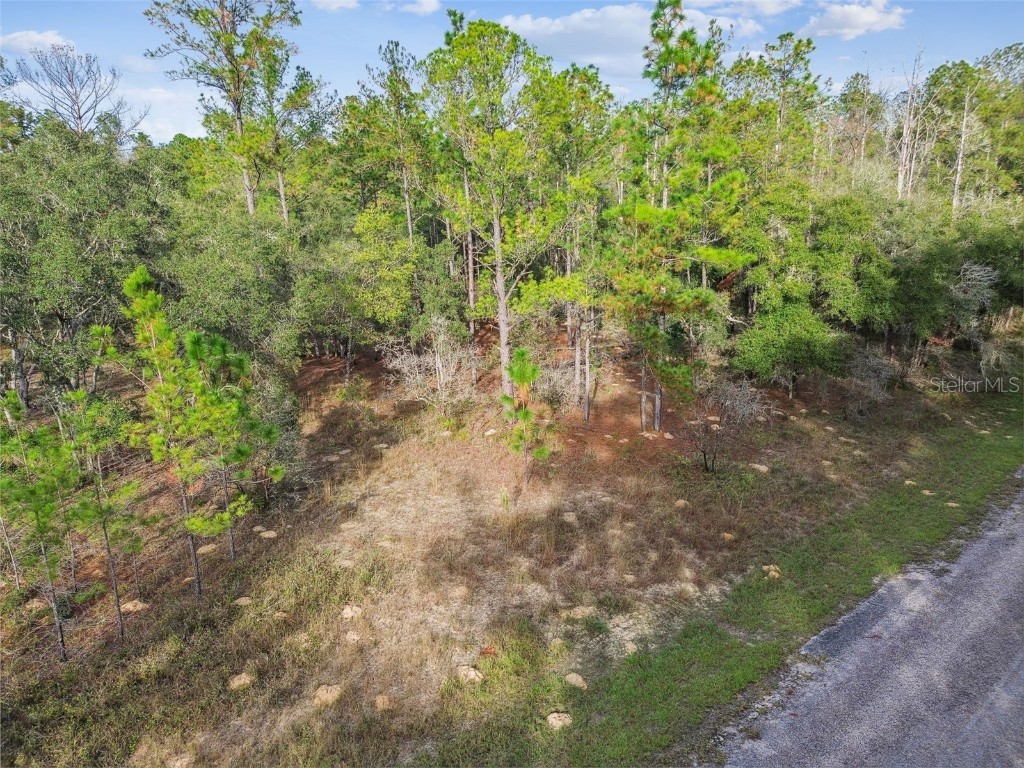 825 E Toledo Drive Citrus Springs FL 34434 TB8321778 image18