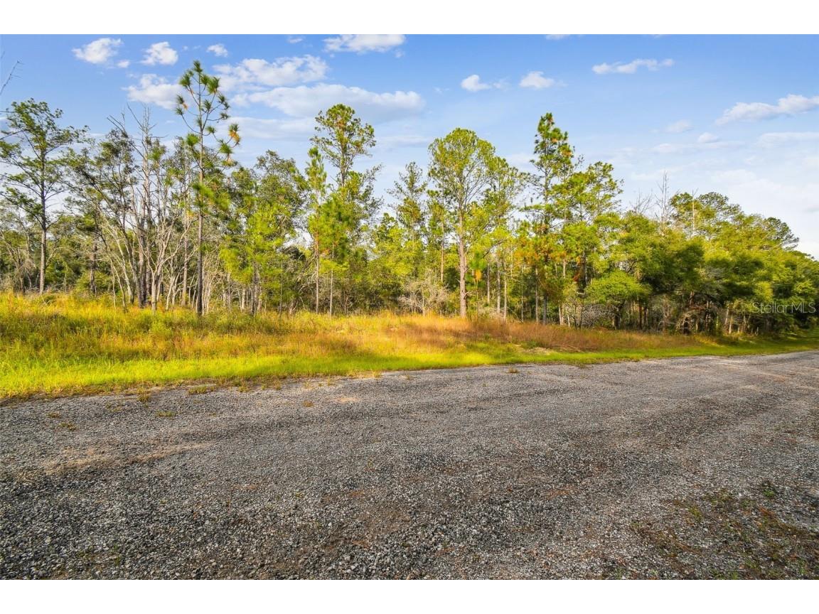 825 E Toledo Drive Citrus Springs FL 34434 TB8321778 image2