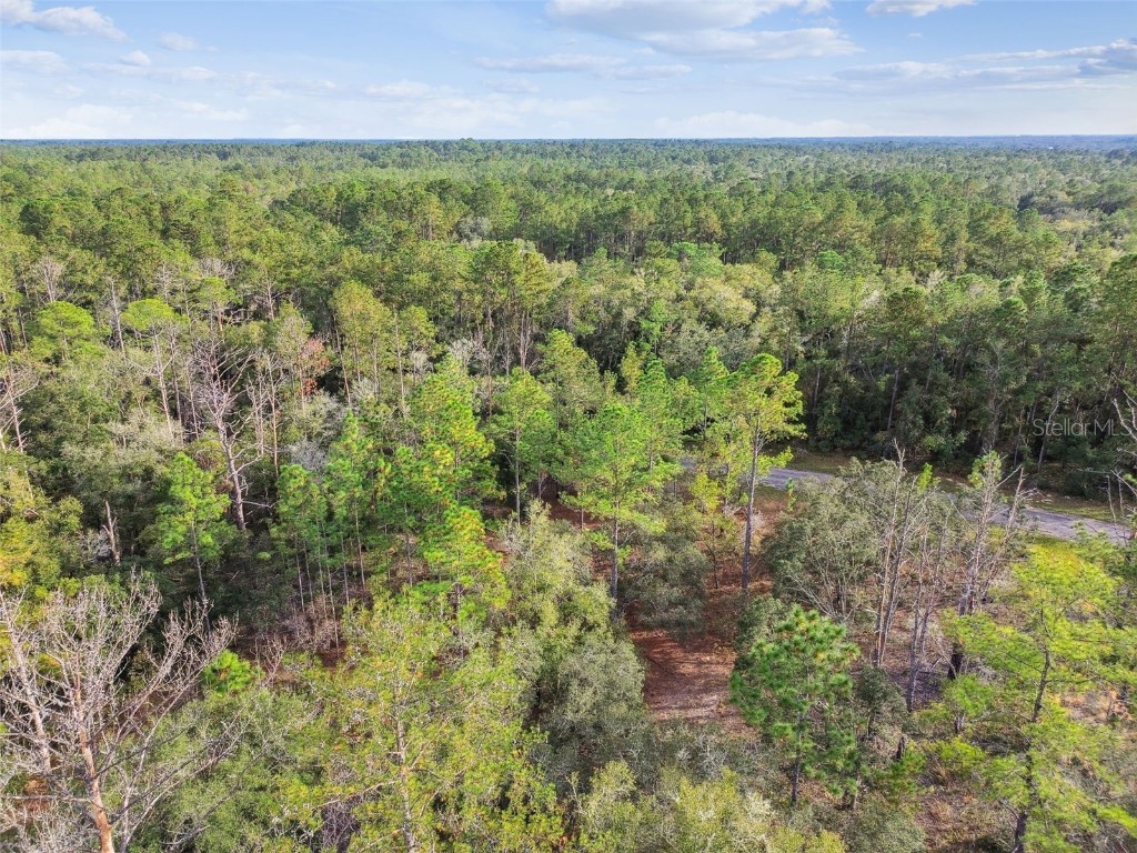 825 E Toledo Drive Citrus Springs FL 34434 TB8321778 image20