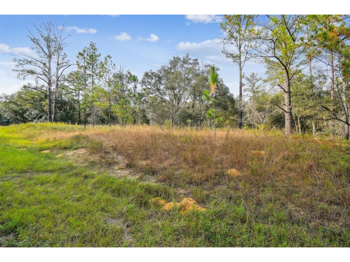 825 E Toledo Drive Citrus Springs FL 34434 TB8321778 image22