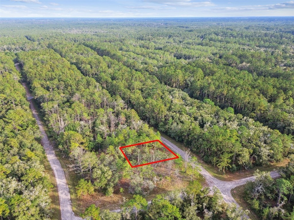 825 E Toledo Drive Citrus Springs FL 34434 TB8321778 image23