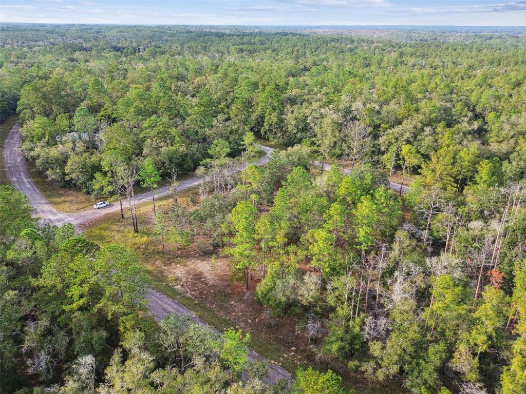 825 E Toledo Drive Citrus Springs FL 34434 TB8321778 image24