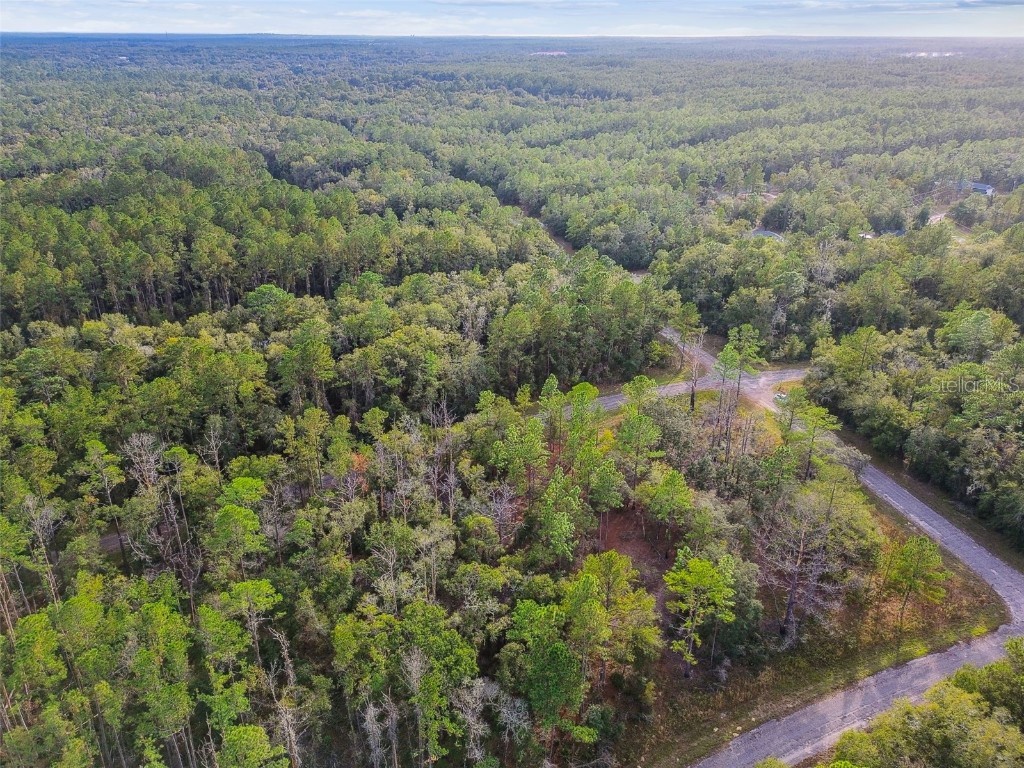 825 E Toledo Drive Citrus Springs FL 34434 TB8321778 image25