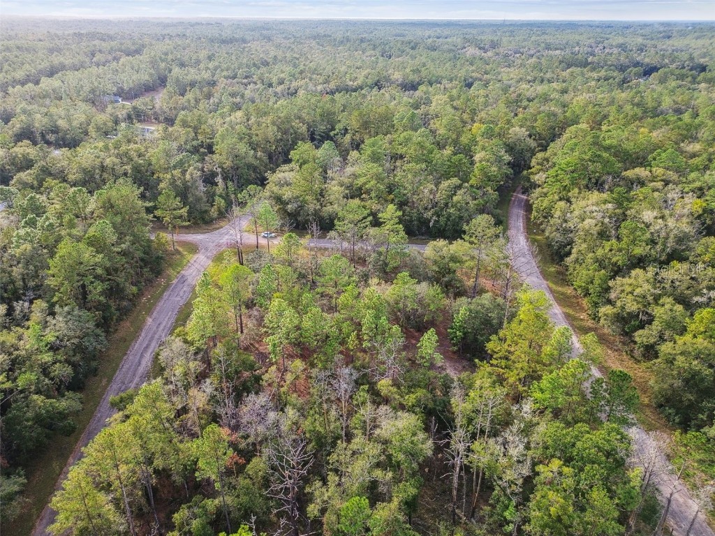 825 E Toledo Drive Citrus Springs FL 34434 TB8321778 image27