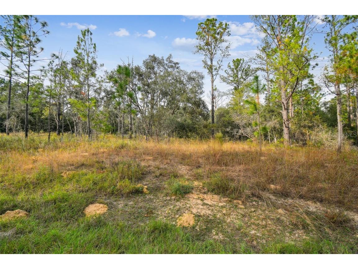 825 E Toledo Drive Citrus Springs FL 34434 TB8321778 image28