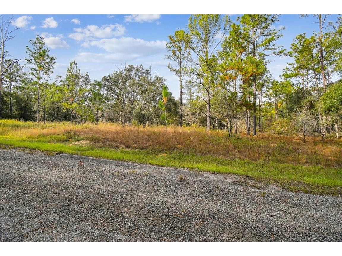 825 E Toledo Drive Citrus Springs FL 34434 TB8321778 image29