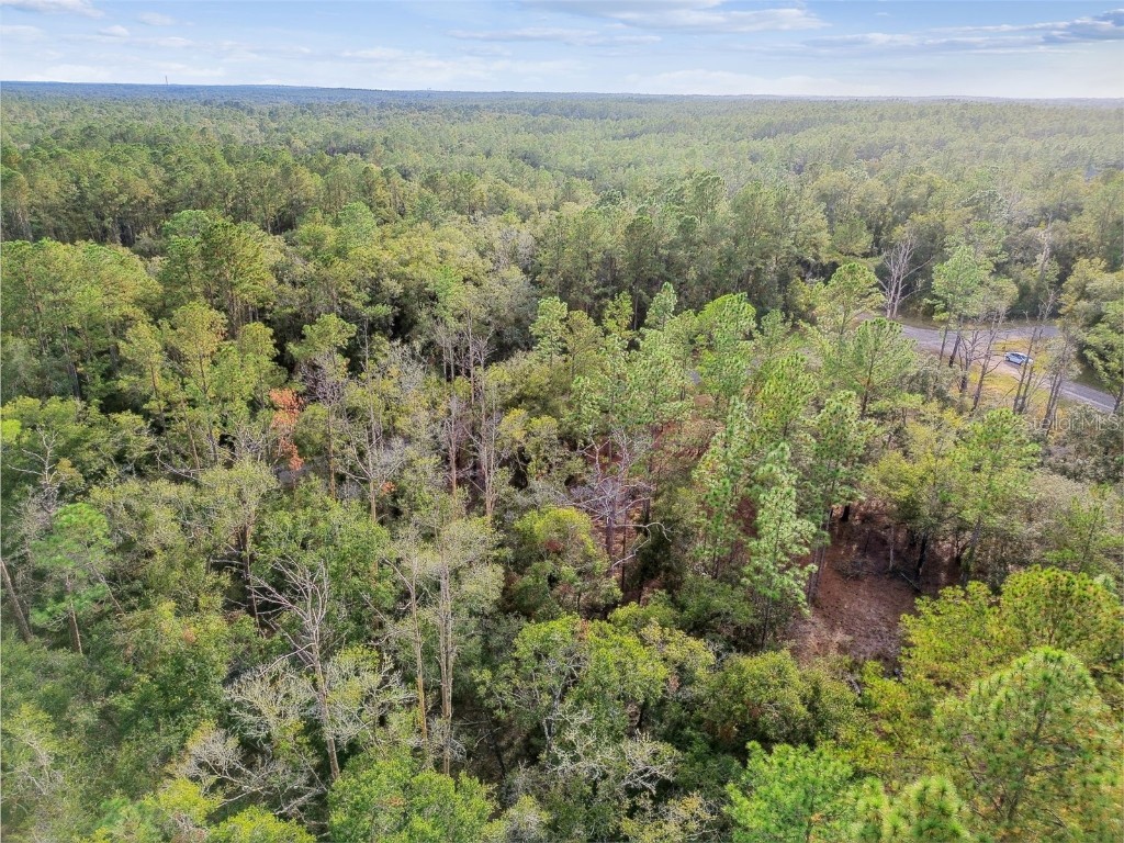 825 E Toledo Drive Citrus Springs FL 34434 TB8321778 image30