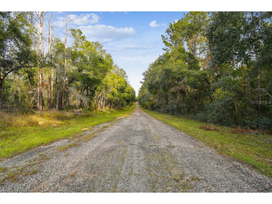 825 E Toledo Drive Citrus Springs FL 34434 TB8321778 image31