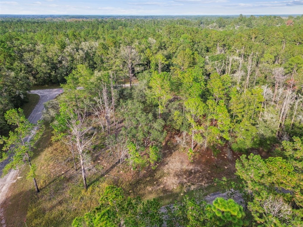 825 E Toledo Drive Citrus Springs FL 34434 TB8321778 image32