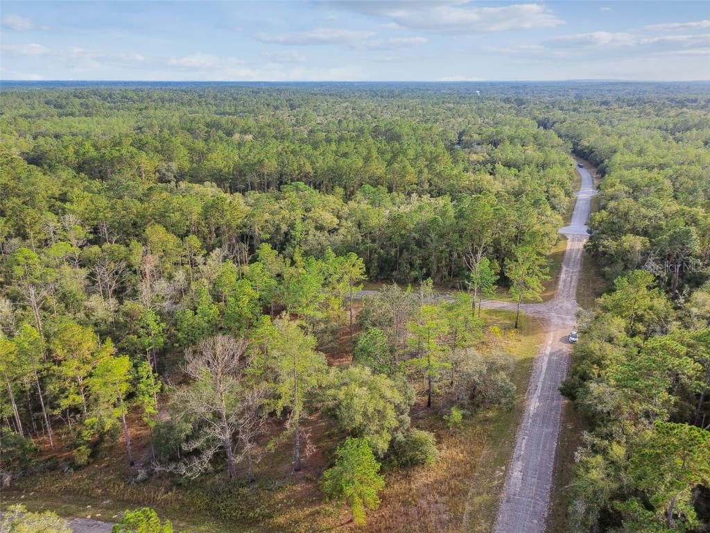 825 E Toledo Drive Citrus Springs FL 34434 TB8321778 image35