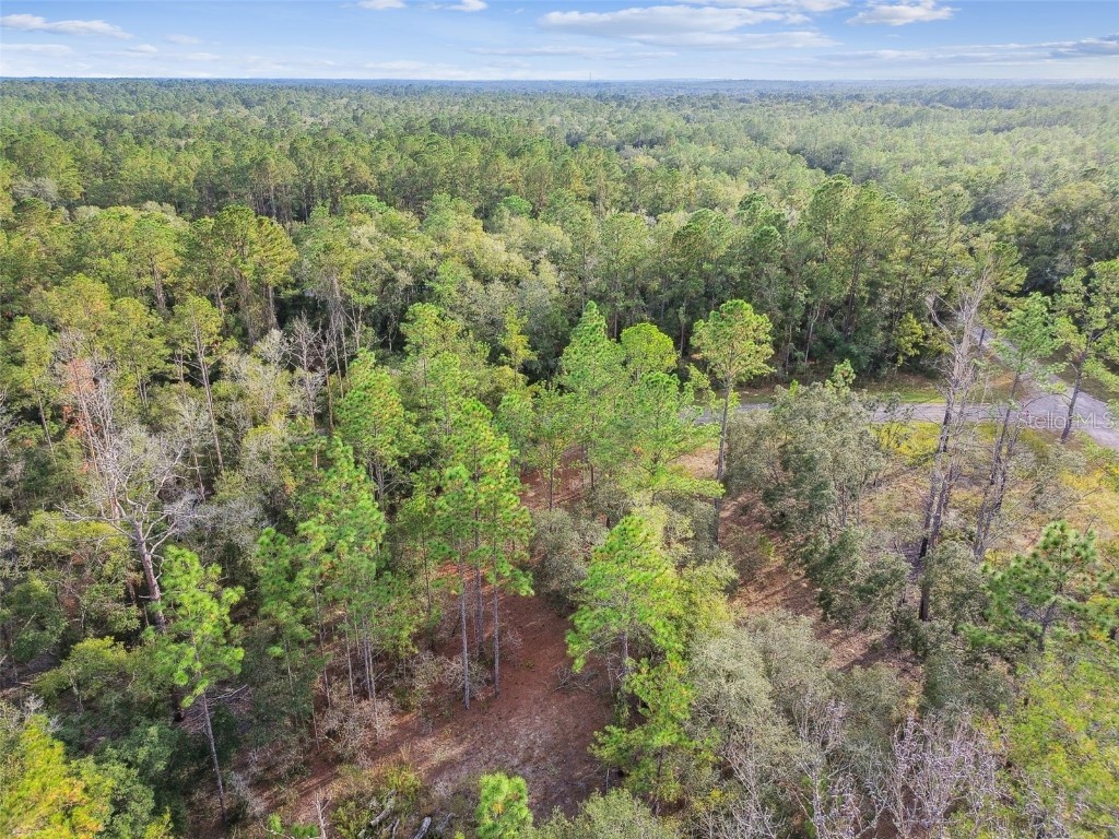 825 E Toledo Drive Citrus Springs FL 34434 TB8321778 image38