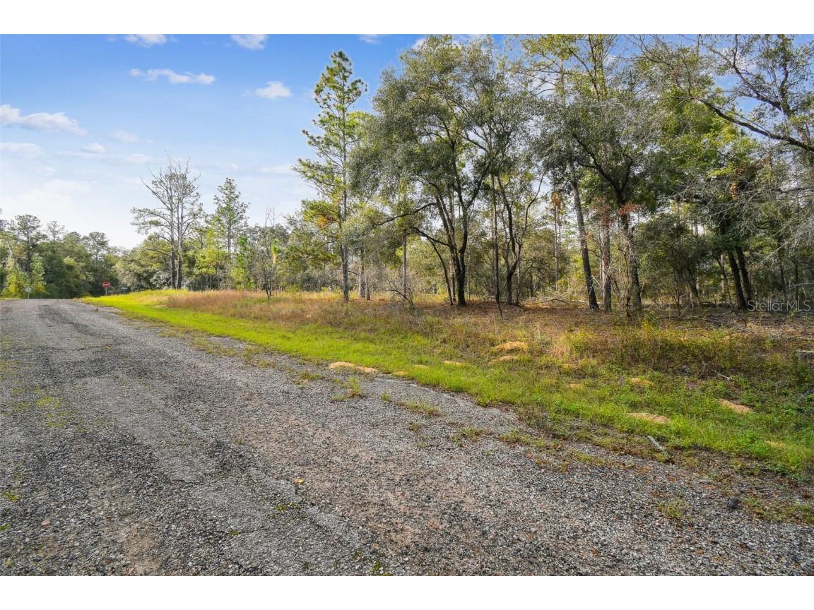 825 E Toledo Drive Citrus Springs FL 34434 TB8321778 image4