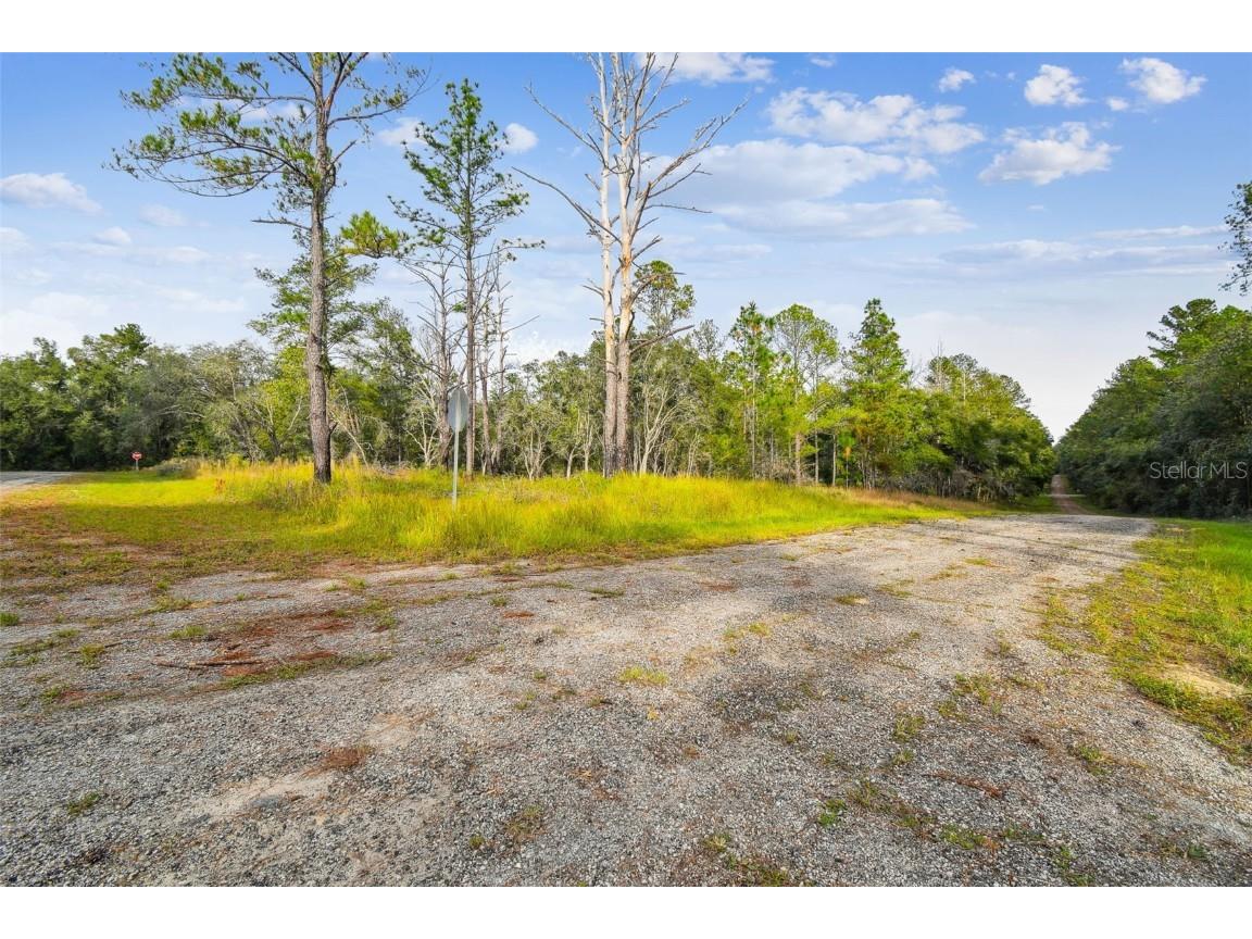 825 E Toledo Drive Citrus Springs FL 34434 TB8321778 image5