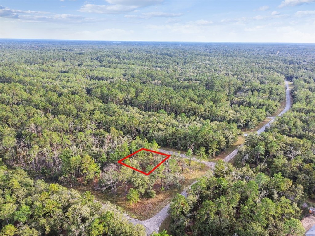 825 E Toledo Drive Citrus Springs FL 34434 TB8321778 image6