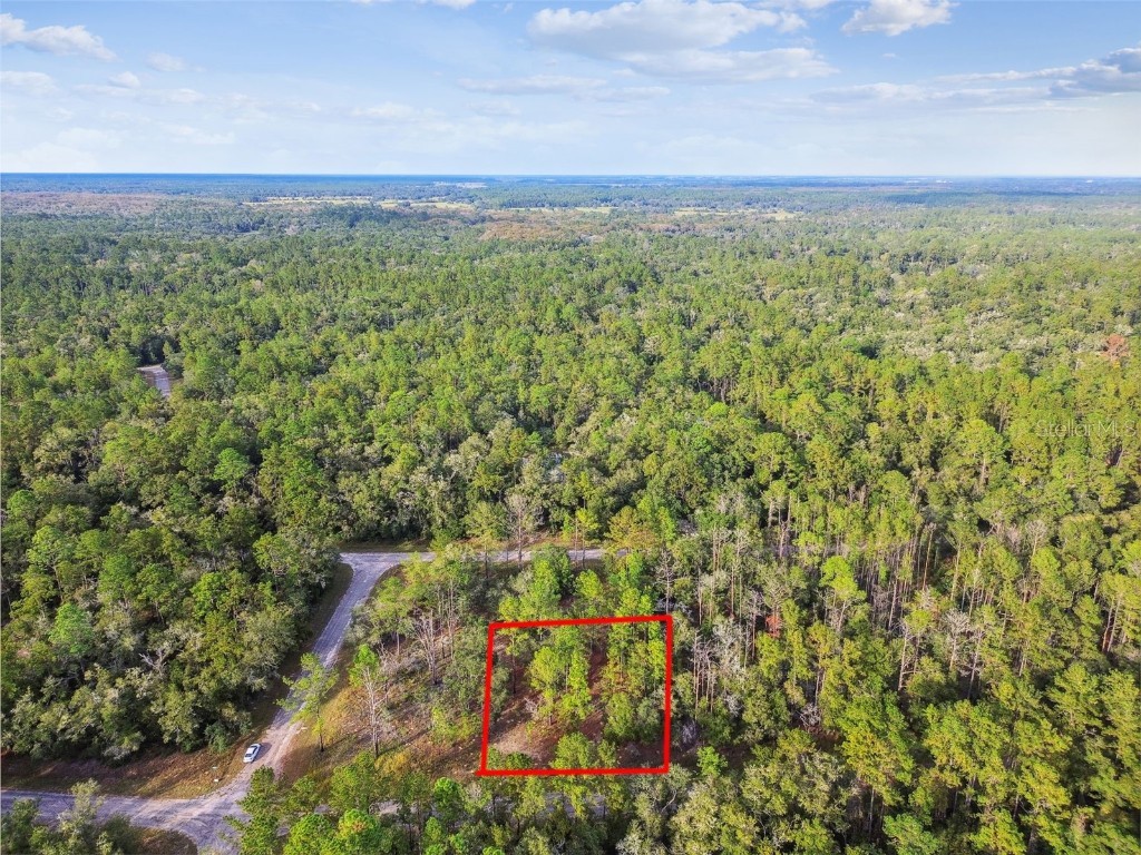 825 E Toledo Drive Citrus Springs FL 34434 TB8321778 image7