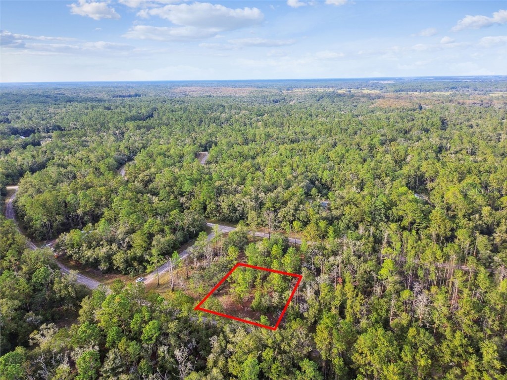 825 E Toledo Drive Citrus Springs FL 34434 TB8321778 image8