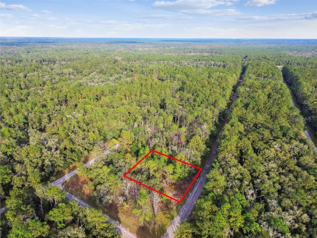 825 E Toledo Drive Citrus Springs FL 34434 TB8321778 image9