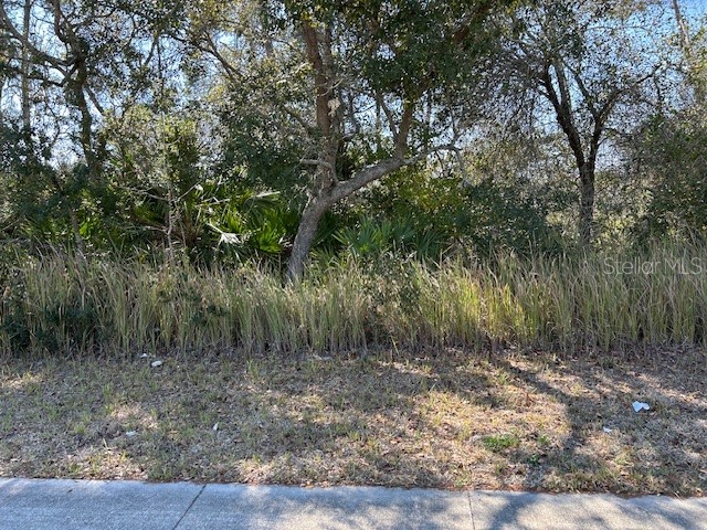 825 Fort Smith Boulevard Deltona FL 32738 V4947537 image1