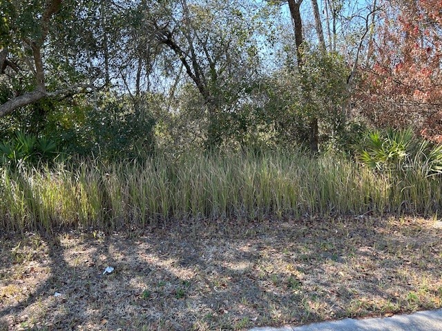 825 Fort Smith Boulevard Deltona FL 32738 V4947537 image2