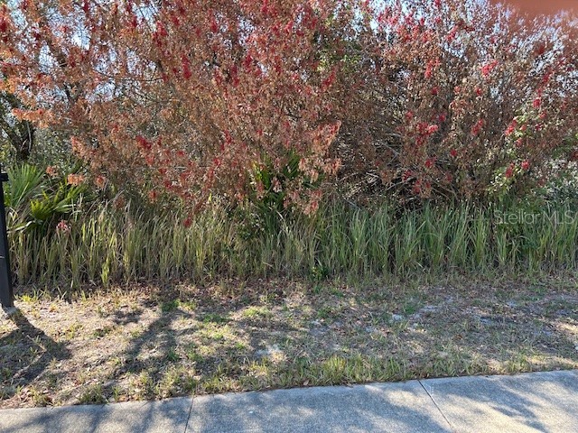 825 Fort Smith Boulevard Deltona FL 32738 V4947537 image3