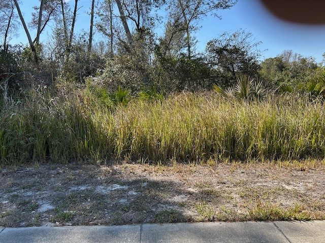 825 Fort Smith Boulevard Deltona FL 32738 V4947537 image4