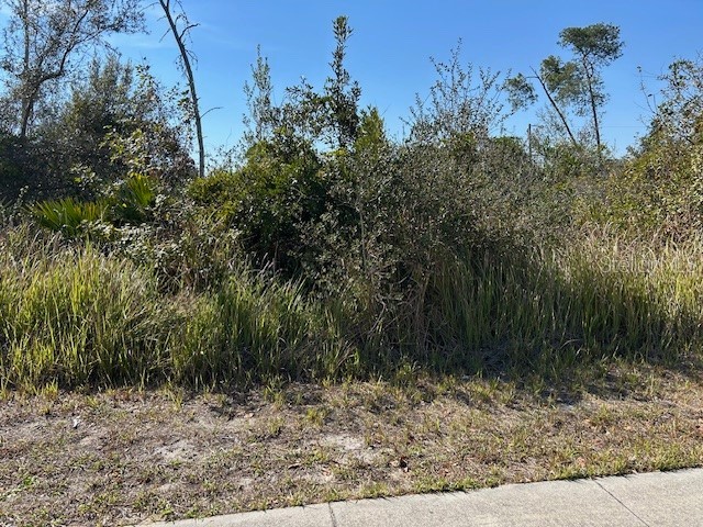 825 Fort Smith Boulevard Deltona FL 32738 V4947537 image5