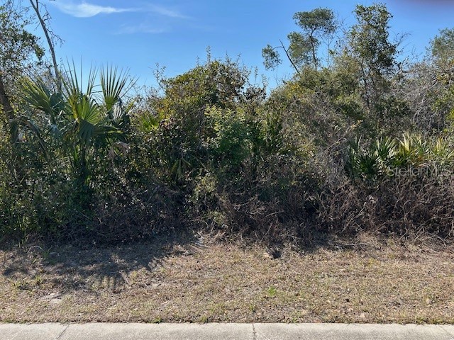 825 Fort Smith Boulevard Deltona FL 32738 V4947537 image6
