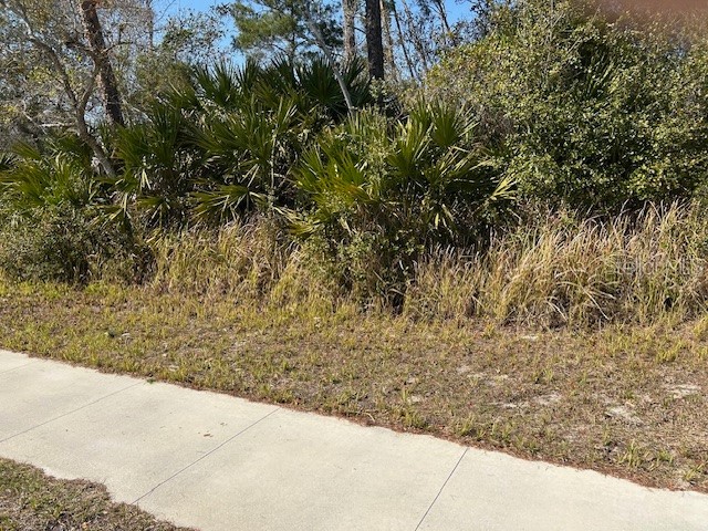 825 Fort Smith Boulevard Deltona FL 32738 V4947537 image7