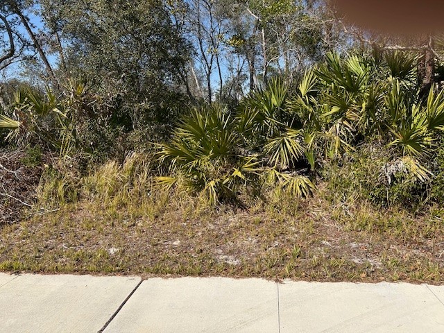 825 Fort Smith Boulevard Deltona FL 32738 V4947537 image8