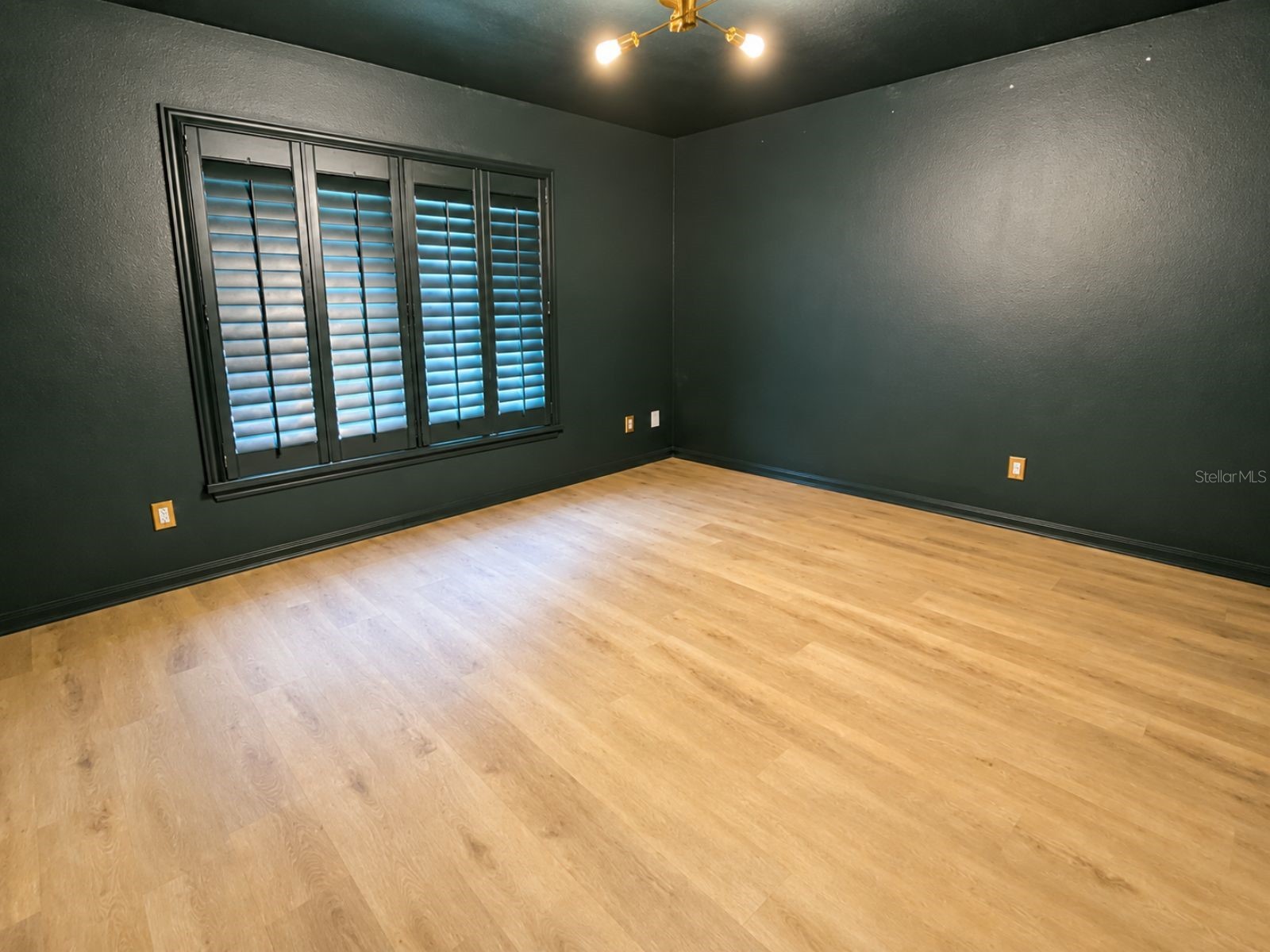 825 Haven Oak Court Apopka FL 32703 V4949934 image18