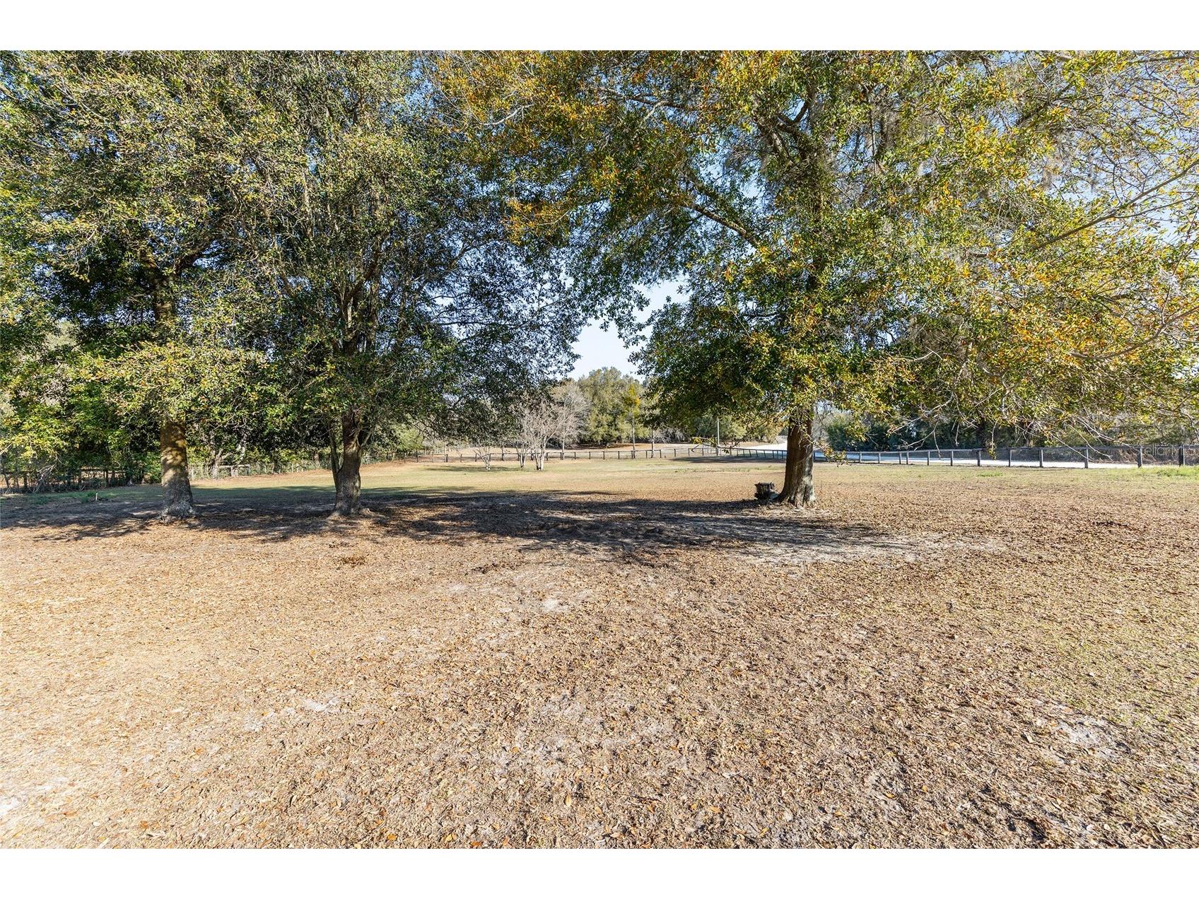 825 NE 165th Street Citra FL 32113 OM718916 image35