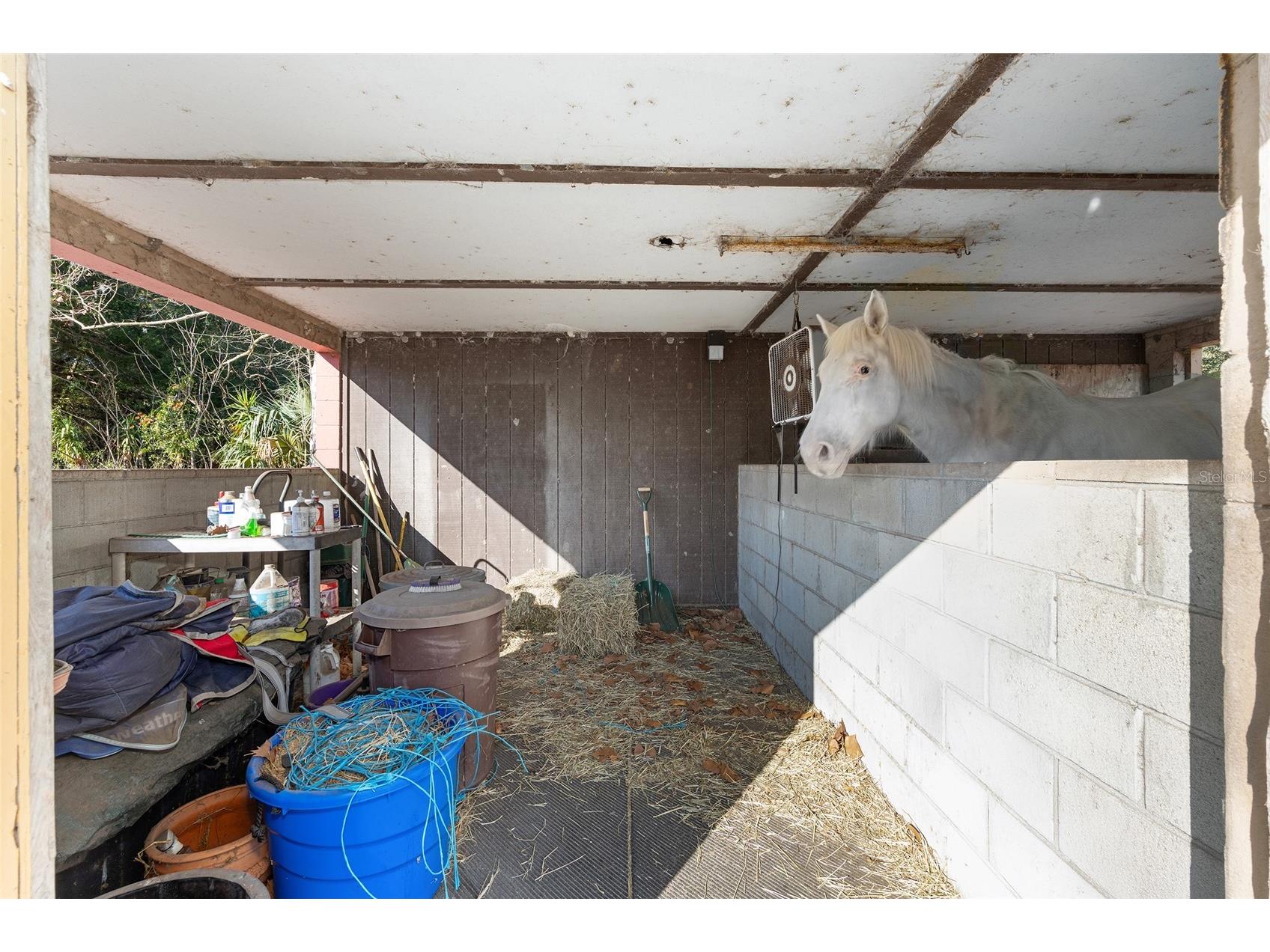 825 NE 165th Street Citra FL 32113 OM718916 image36