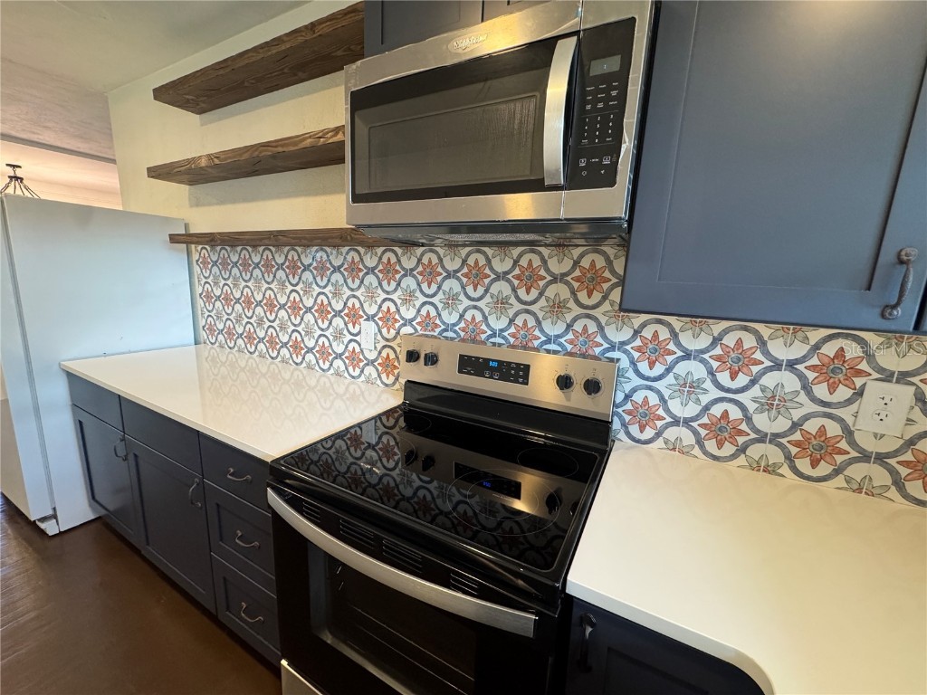 825 Poinsettia Drive Eustis FL 32726 O6367216 image5