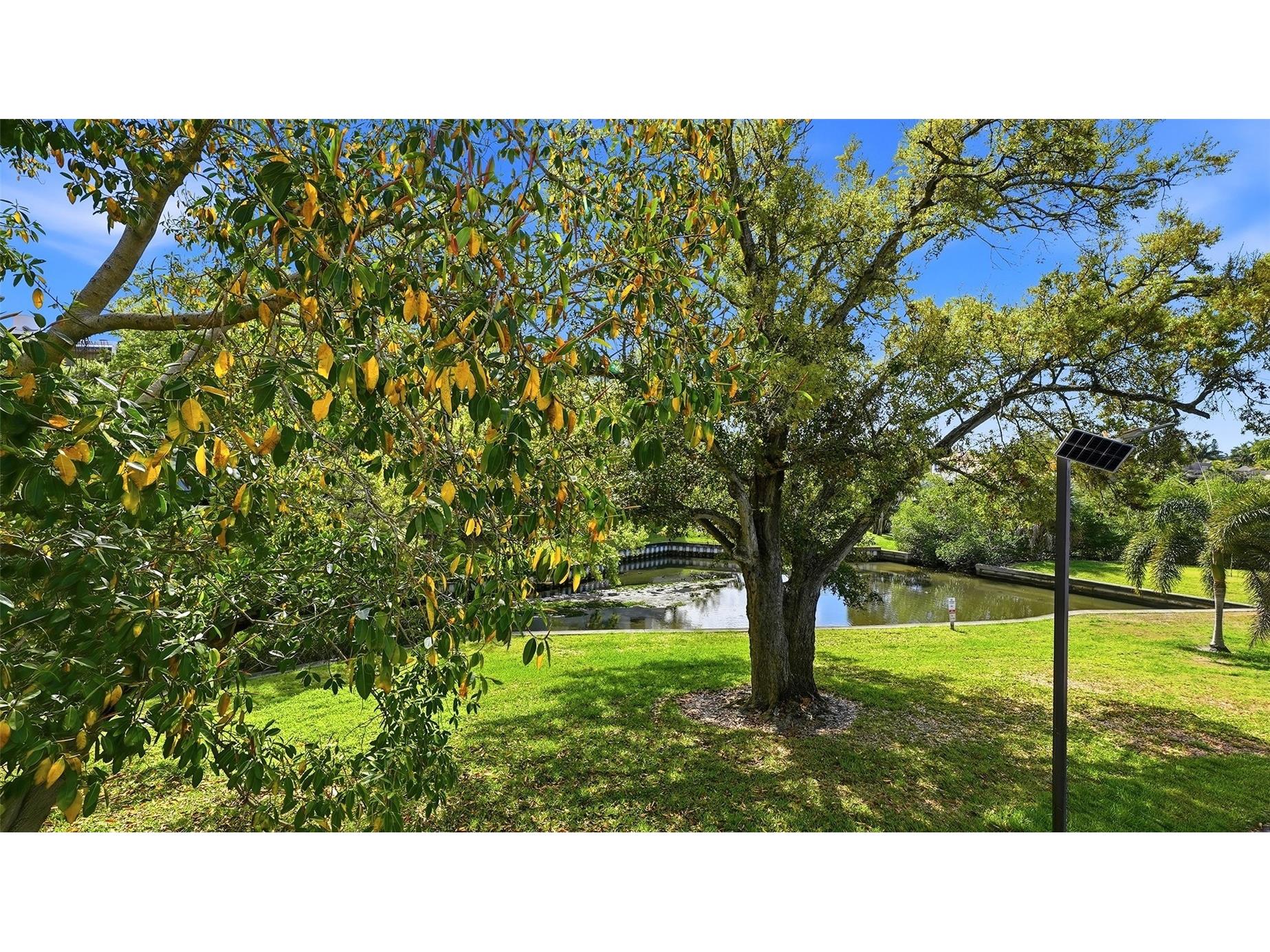 825 S Osprey Avenue #101 Sarasota FL 34236 - HUDSON BAYOU A4685410 image25