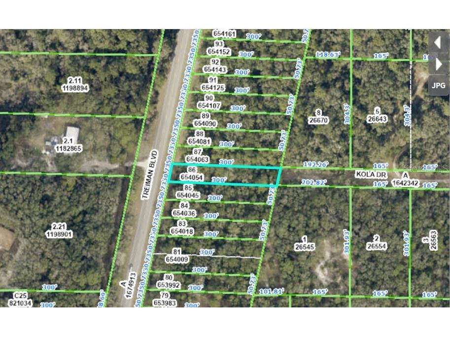 8250 Treiman Blvd Boulevard Webster FL 33597 O6231626 image1