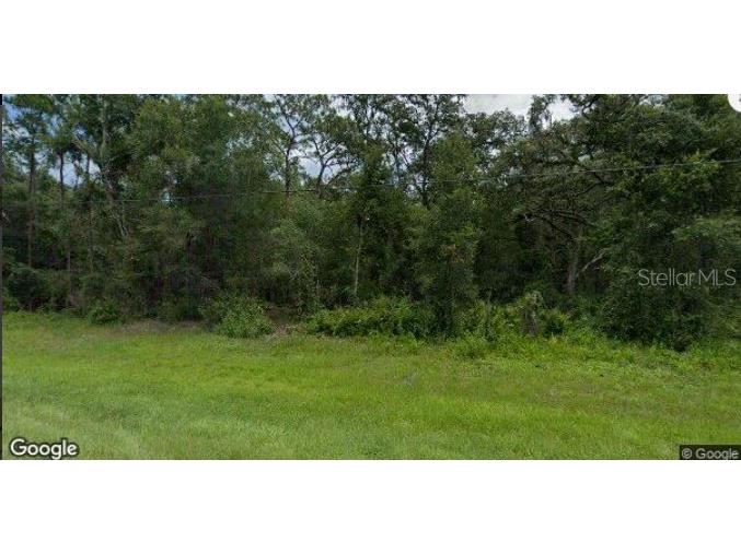 8250 Treiman Blvd Boulevard Webster FL 33597 O6231626 image2