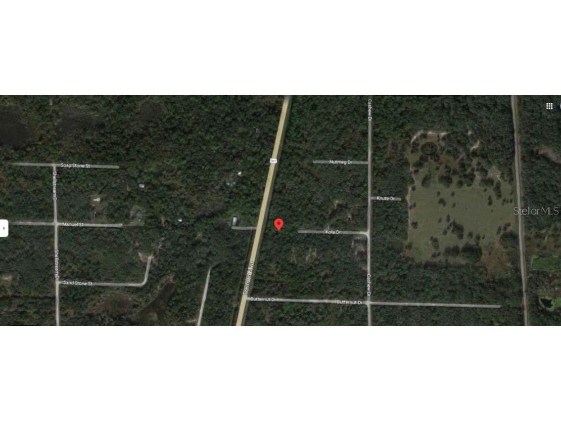 8250 Treiman Blvd Boulevard Webster FL 33597 O6231626 image4