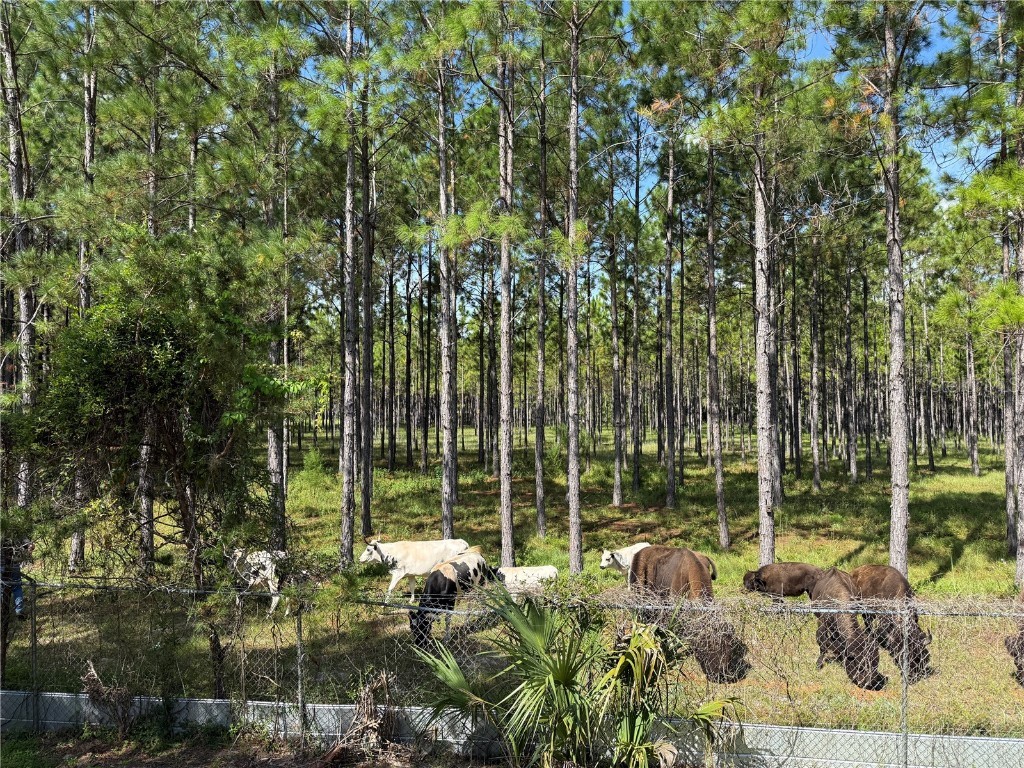 8250 W Fairoak Court Crystal River FL 34428 TB8365303 image30