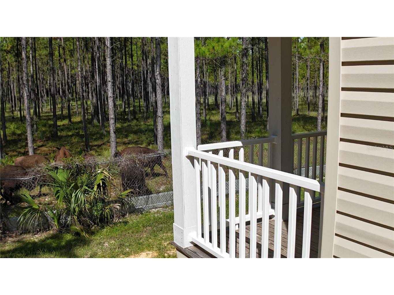 8250 W Fairoak Court Crystal River FL 34428 TB8365303 image35