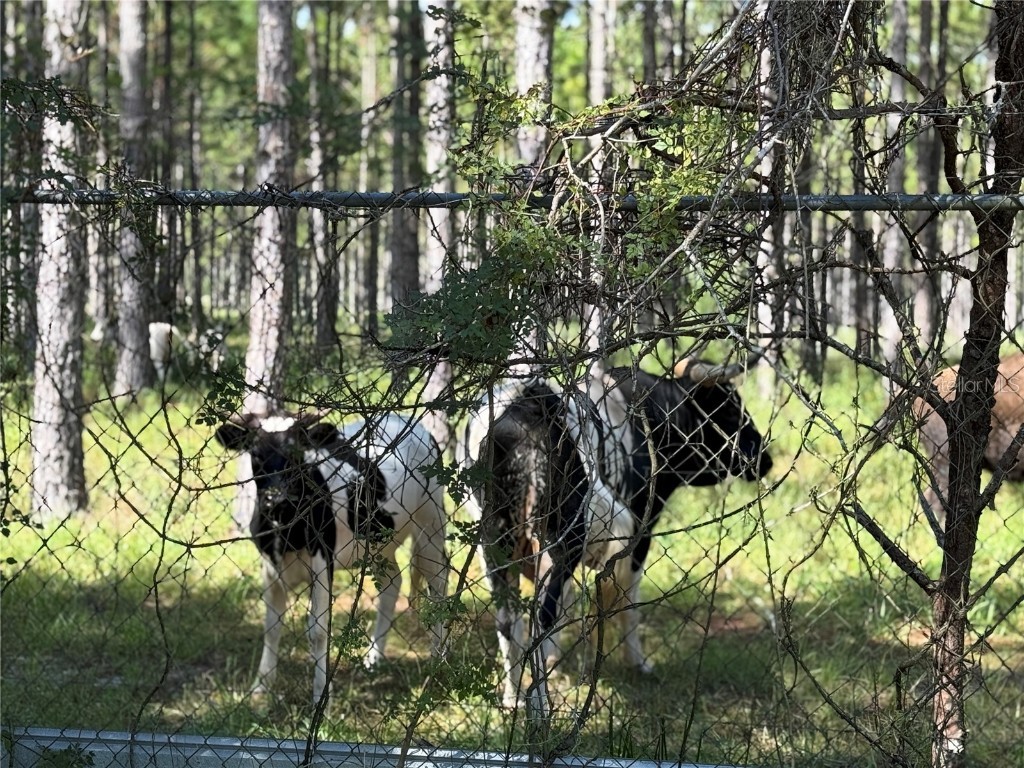 8250 W Fairoak Court Crystal River FL 34428 TB8365303 image42