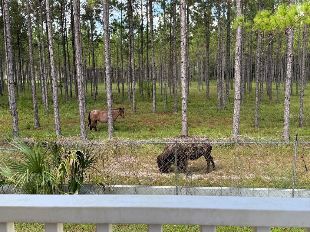 8250 W Fairoak Court Crystal River FL 34428 TB8365303 image43