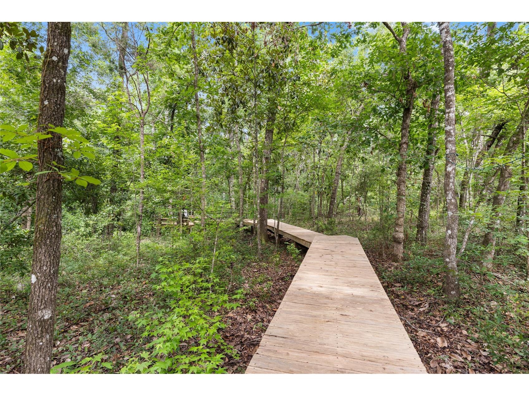 8250 Waukeenah Highway Monticello FL 32344 GC541500 image12