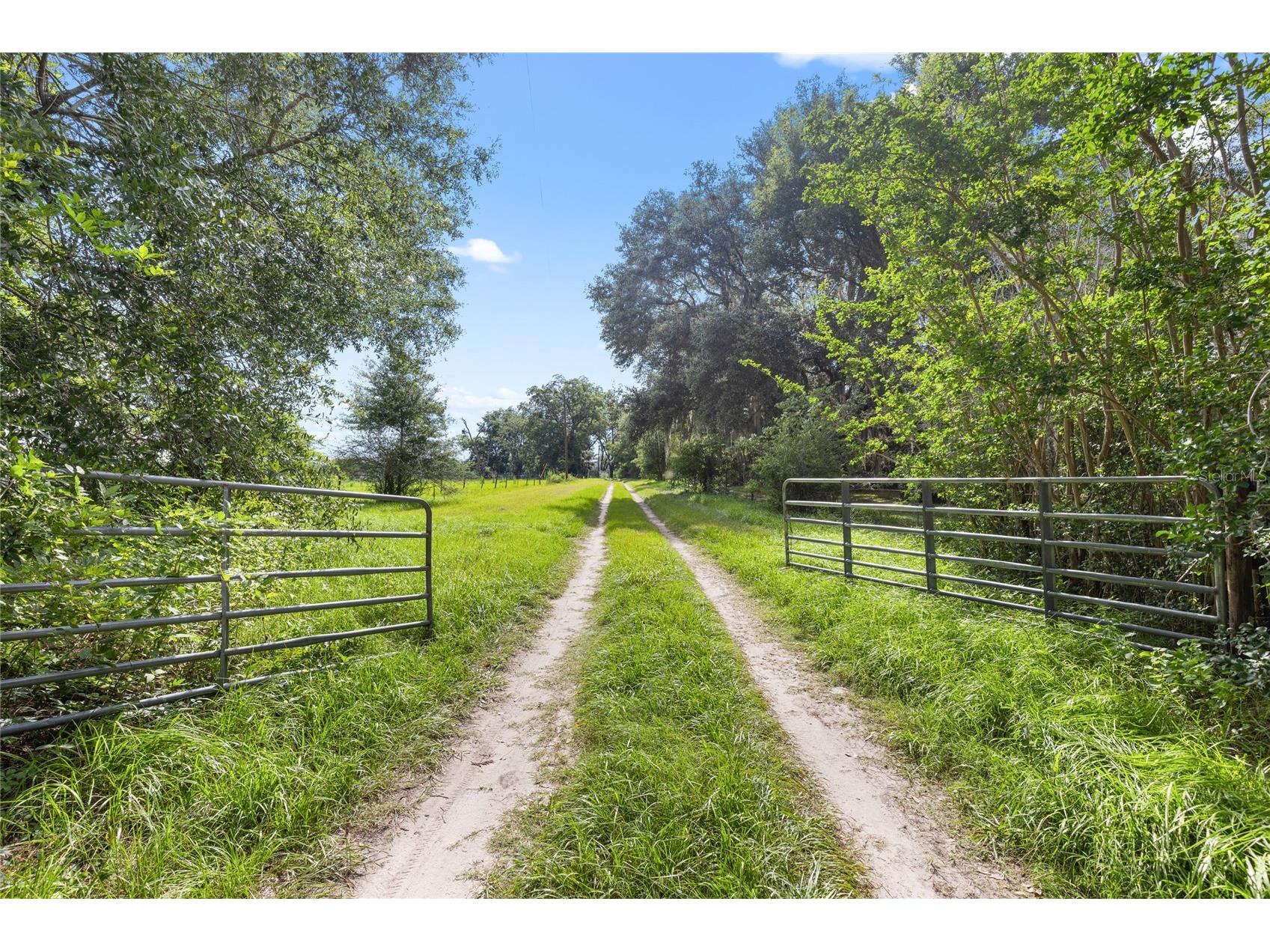 8250 Waukeenah Highway Monticello FL 32344 GC541500 image29